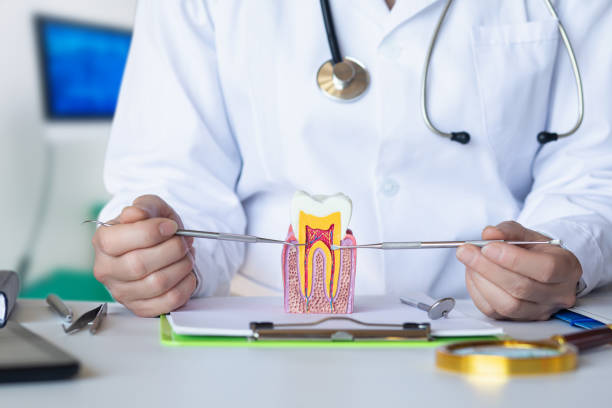 Best Urgent Care for Lost Fillings or Crowns in Ixonia, WI